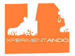 xperimentAndo Logo